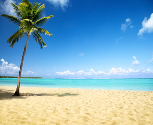 palm&beach.jpg