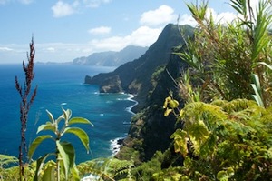 Madeira1.jpg