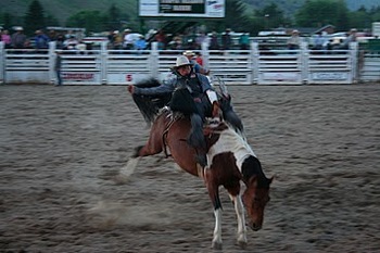 rodeo1.JPG