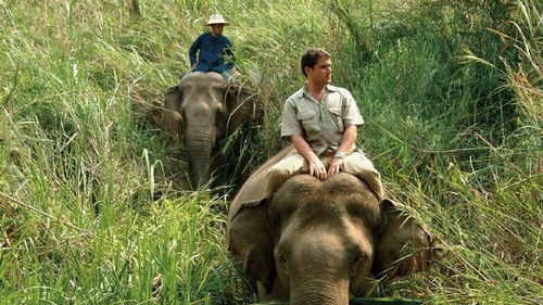 Four-Seasons-Elephant-Trekking-Thailand.jpeg