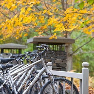 Fall_Bikes_Twin_Farms.jpg