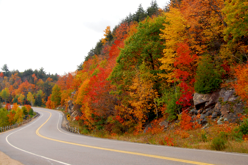 Fall_Scenic_Drive.jpg