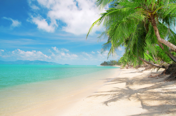 deserted_tropical_beach-1.jpg