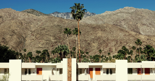 Palm_Springs_Ace_Hotel-1.png