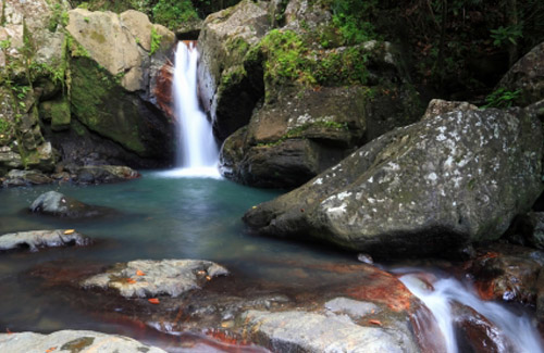 la_mina_falls_puerto_rico_el_yunque-1.jpg