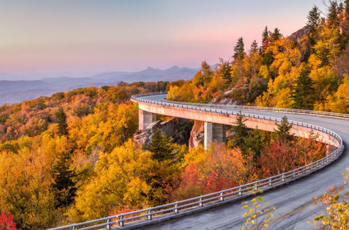 blue_ridge_parkway_fall-1.jpg