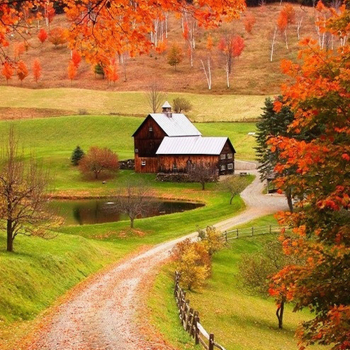 woodstock_farm_vermont_fall-1.jpg