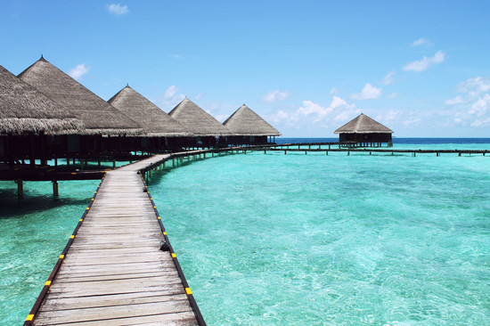 overwater_bungalow_honeymoon_poll-01.jpg