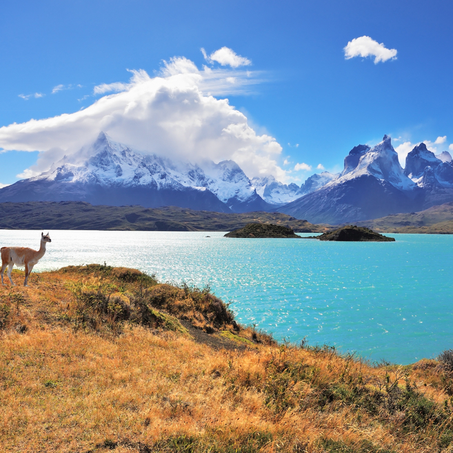 https://www.travelersjoy.com/blog/Chile-Patagonia-honeymoon.jpg