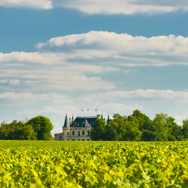 bordeaux_chateau_vineyard_margaux_france.jpg