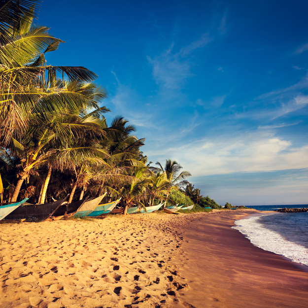 2019_honeymoon_destinations_sri_lanka.jpg