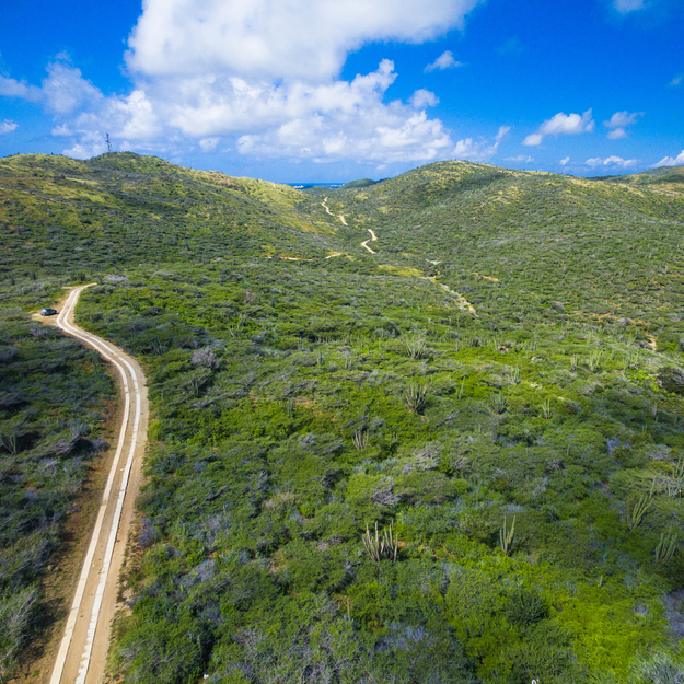 Landscape-in-Arikok-National-Park-Aruba-1.jpg