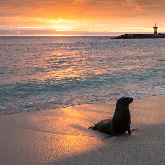 Off-the-Tourist-Path_honeymoon-Galapagos.jpg