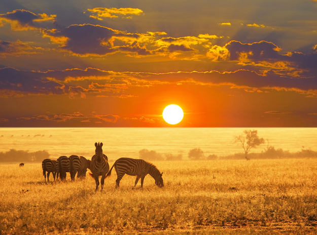 Africa_honeymoon_sunset.jpg