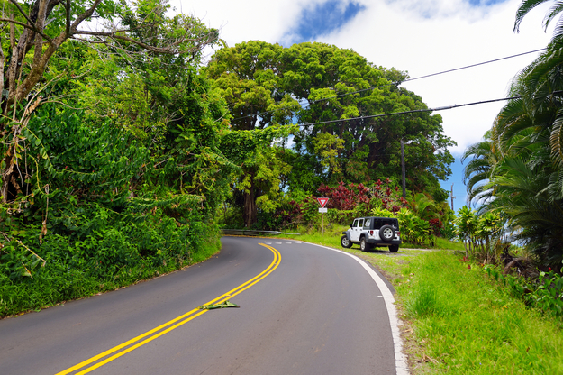 honeymoon_road_trip_maui_hawaii.jpg