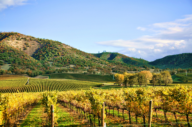 top_honeymoon_destinations_USA_California_wine_country.jpg