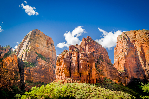 zion_NP-1.jpg