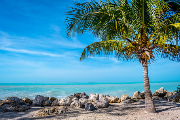 Florida_honeymoon-cover.jpg