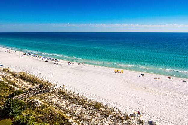 Florida_honeymoon7.jpg