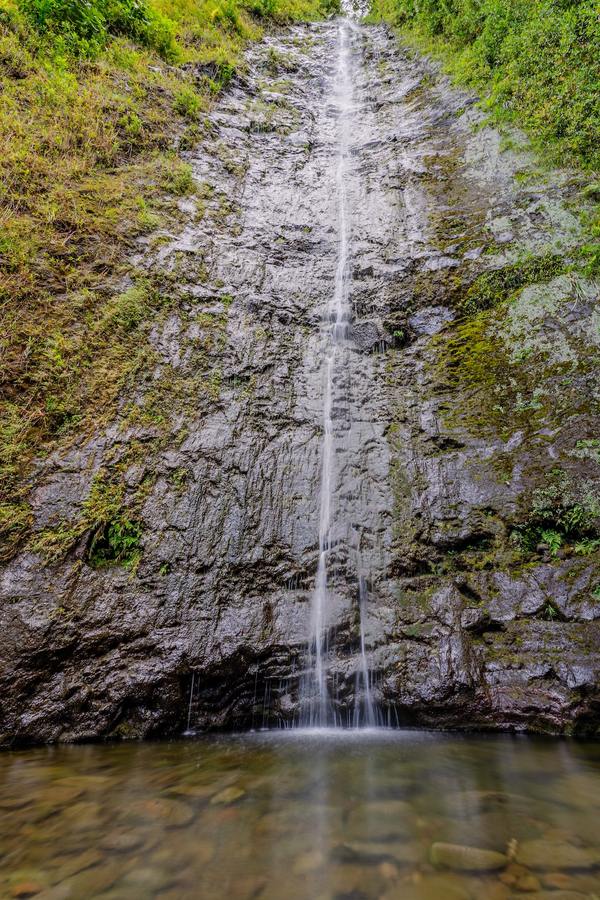 Manoa_Falls_Oahu.jpg