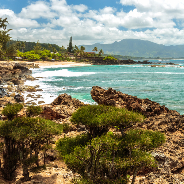 NorthShore_Oahu_.jpg