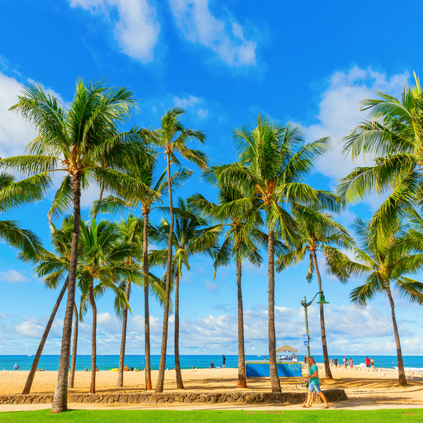 Oahu_Waikiki.jpg