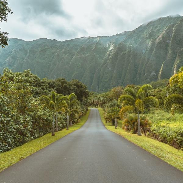 Oahu_botanical_gardens.jpg