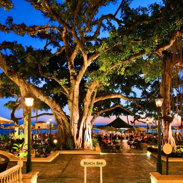 banyan_court_waikiki.jpg