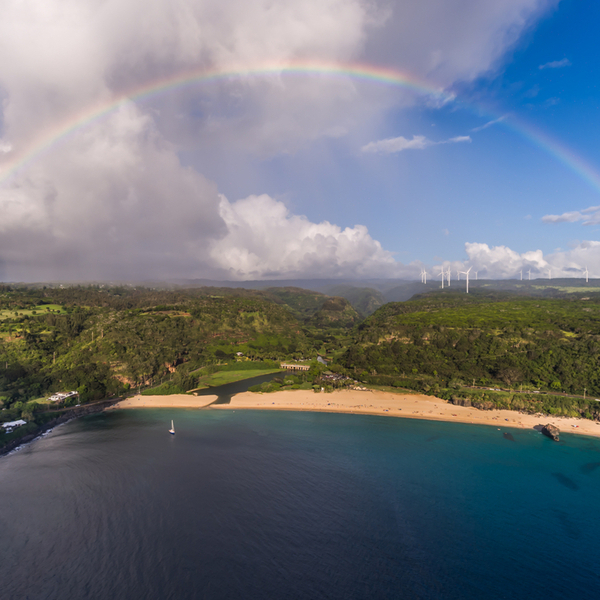 waimea_valley_oahu.jpg