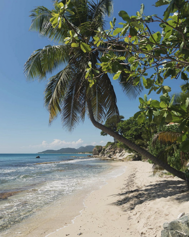 crowd-free_honeymoon_vieques.png