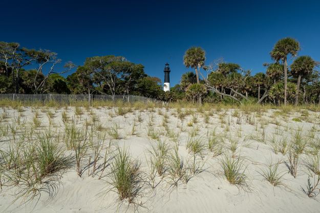 hunting_island_honeymoon.jpg