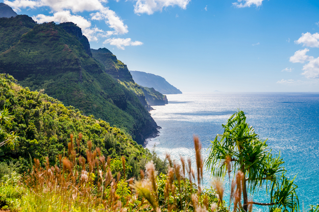 napali_coast_trail_honeymoon.jpg