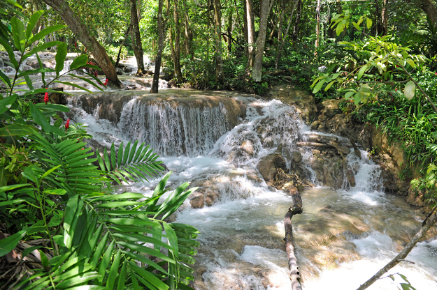 Jamaica_Jungle_Waterfall_Honeymoon_Adventure-1.jpg