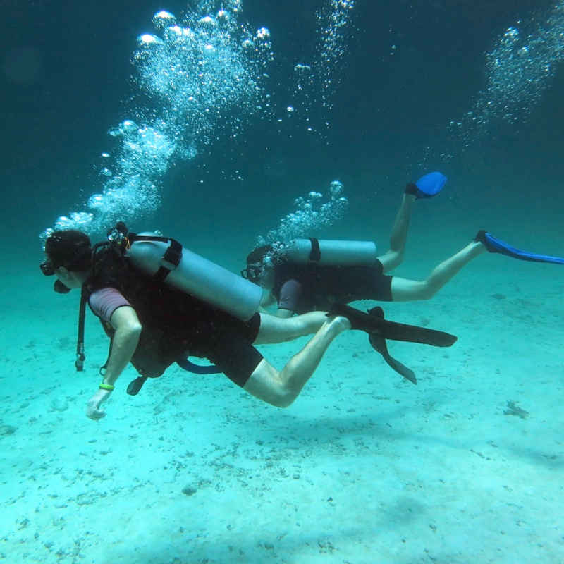 Bermuda scuba diving