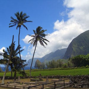 Hawaii (Molokai)