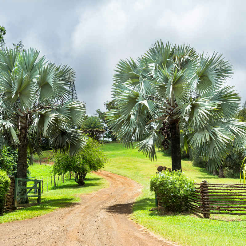 Hawaii Molokai upscale ranch