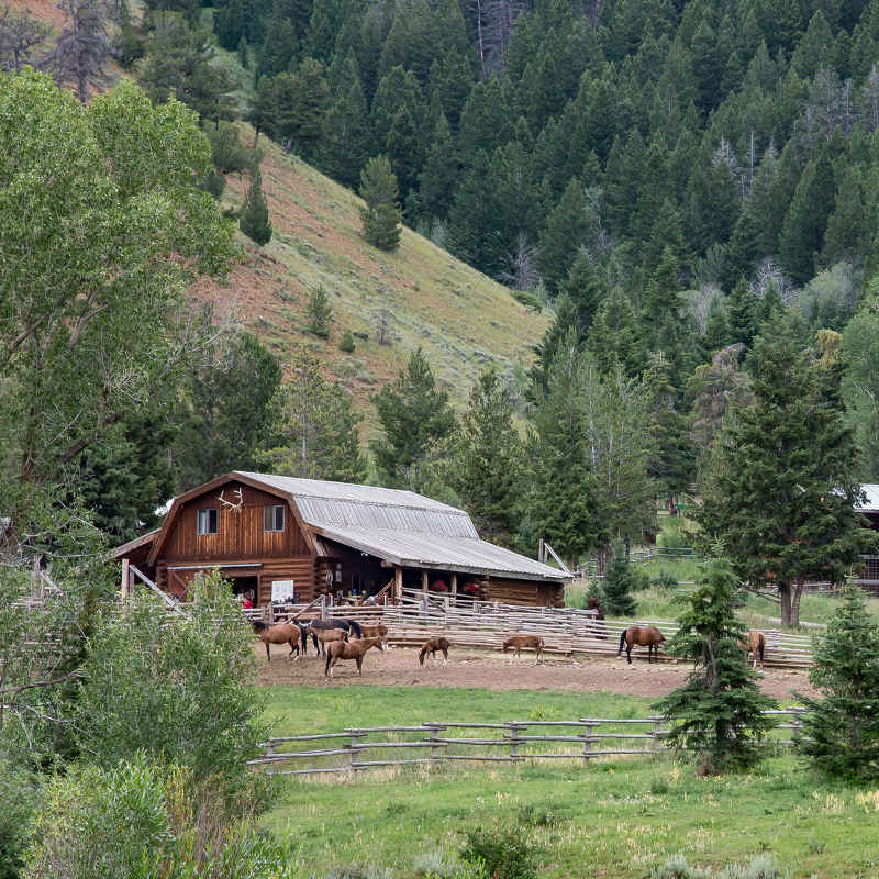 Jackson Ranch